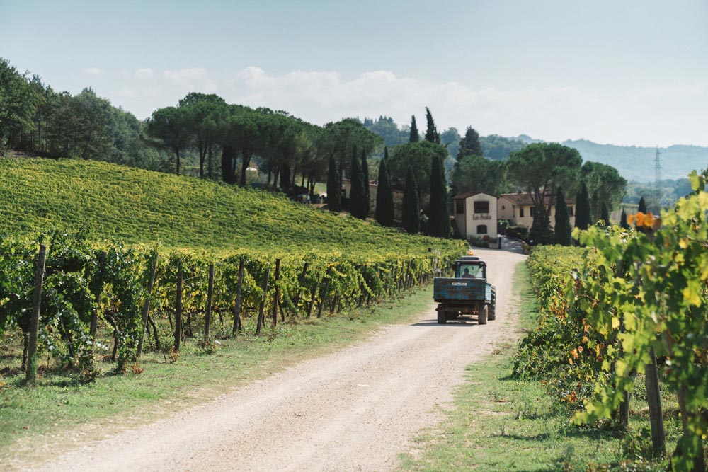 La Sala chianti classico toscana tuscany wineyard tour enogastronomia eccellenze italiane premium quality wines11