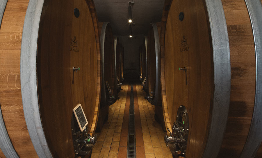 la sala organic wine toscana vino biologico compra spedizione tutta italia