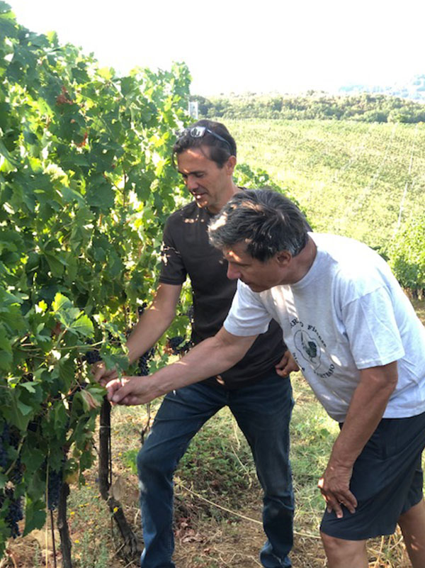 La sala del torriano chianti classico enogastronomia winery tuscany san casciano consorzio agriturismo