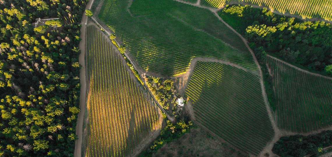 La Sala del Torriano - Chianti Classico Toscana San Casciano val di Pesa bioenologia